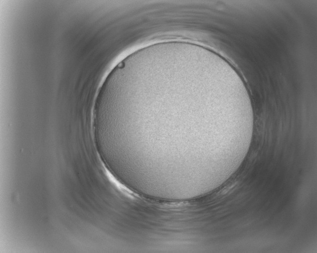 X0000078881535200612042011