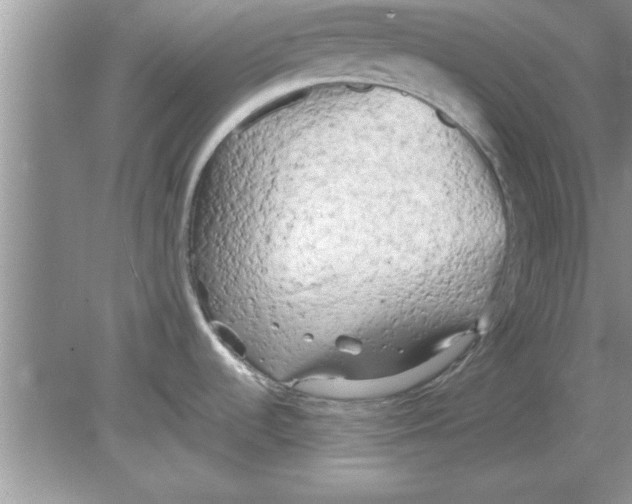 X0000078881536200612042011