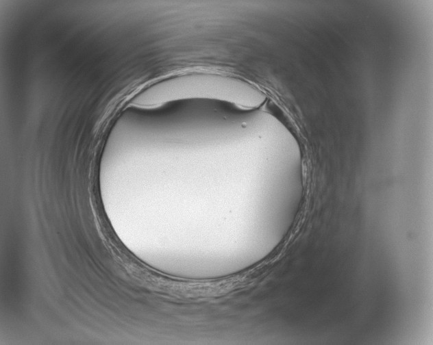 X0000078880001200612111751