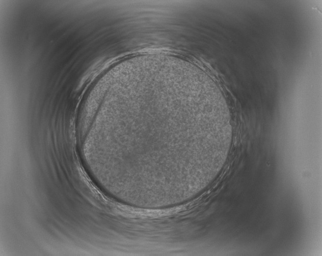 X0000078880002200612111751