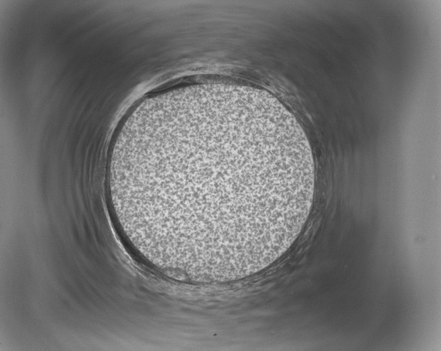 X0000078880003200612111751