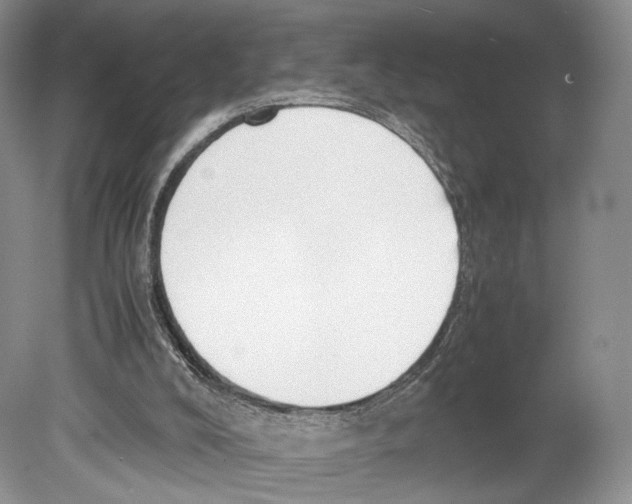 X0000078880008200612111751