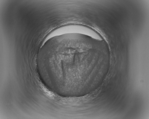 X0000078880009200612111751