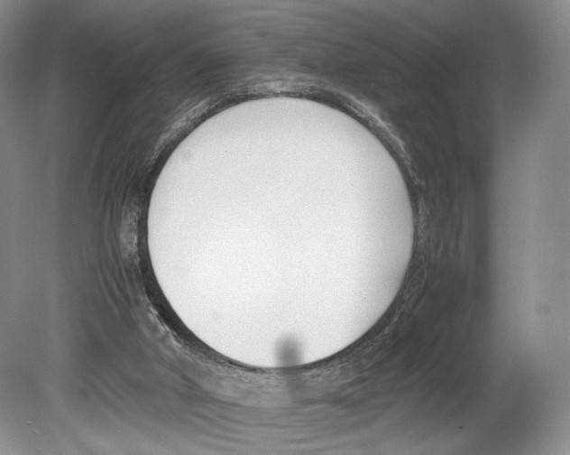 X0000078880010200612111751