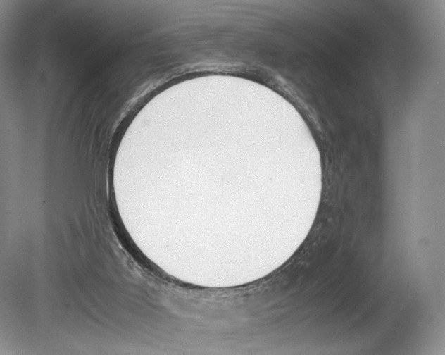 X0000078880011200612111751