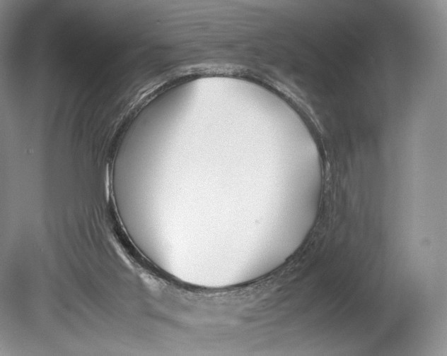 X0000078880013200612111751