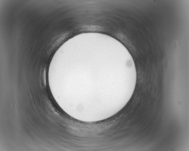 X0000078880014200612111751