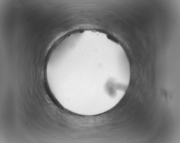 X0000078880015200612111751