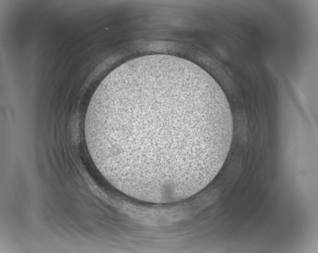 X0000078880016200612111751