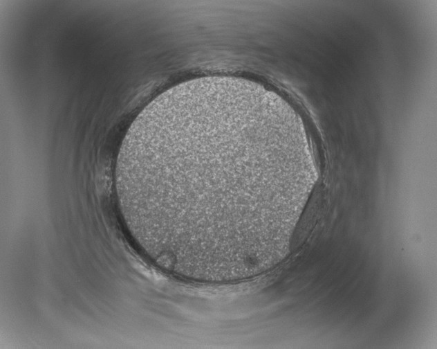 X0000078880017200612111751