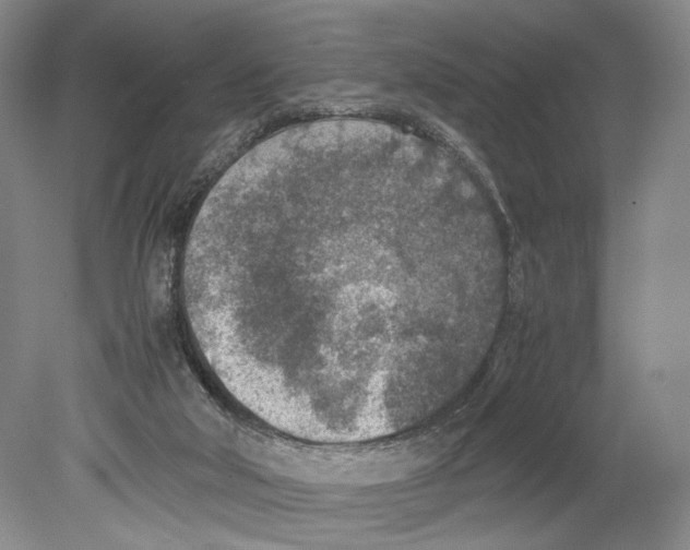 X0000078880018200612111751