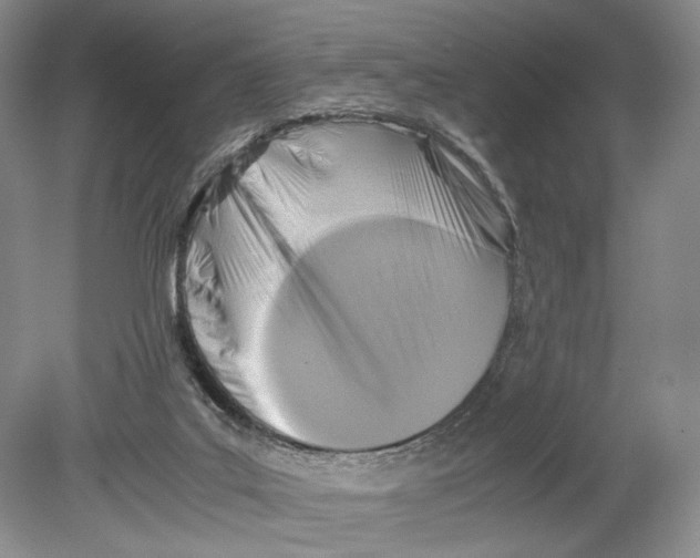 X0000078880019200612111751