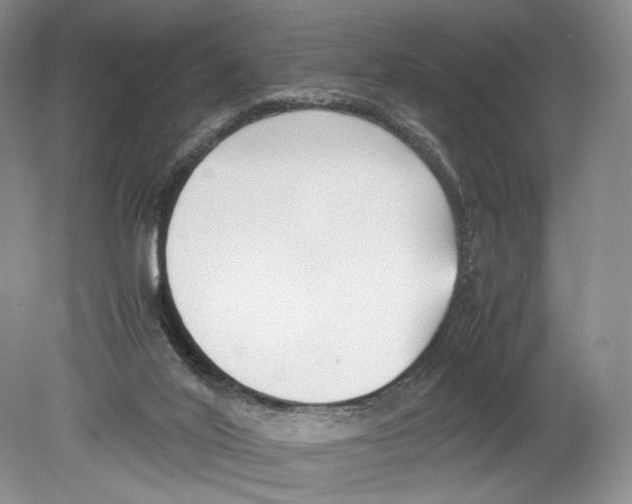 X0000078880020200612111751