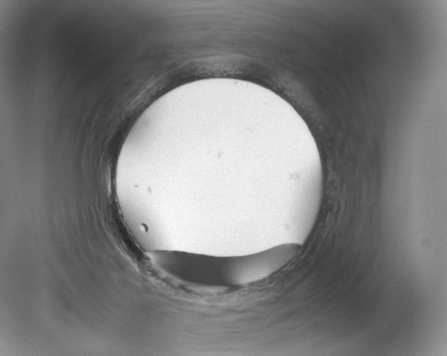 X0000078880021200612111751