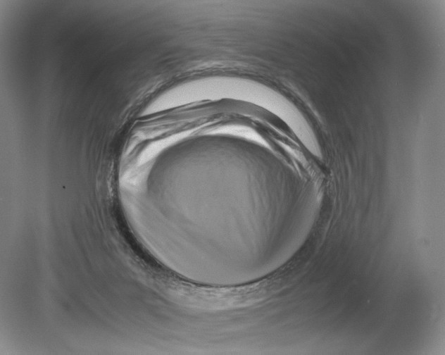 X0000078880023200612111751