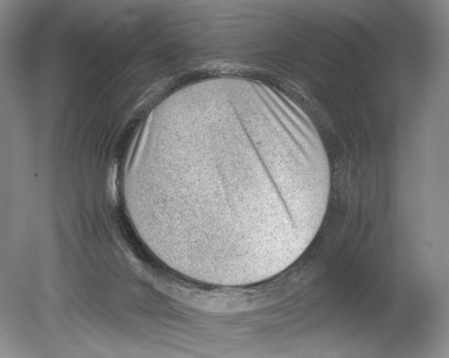 X0000078880024200612111751