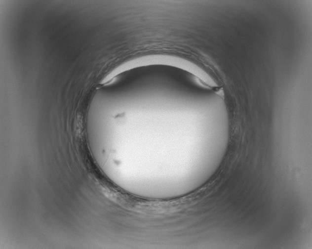 X0000078880025200612111751