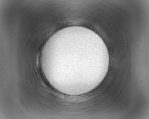 X0000078880026200612111751