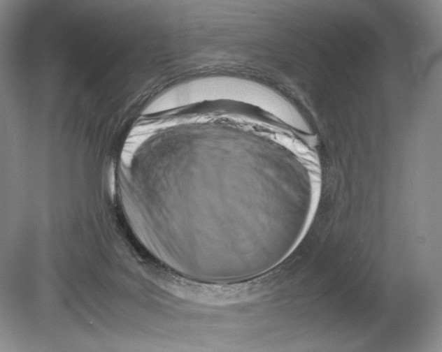 X0000078880027200612111751