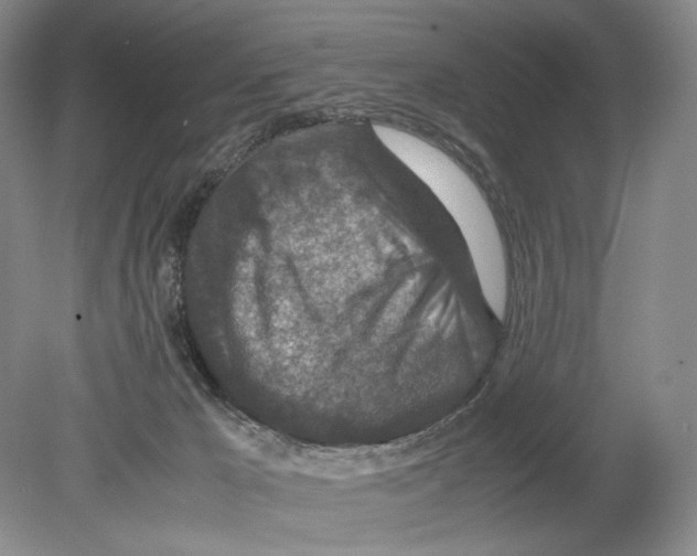 X0000078880029200612111751