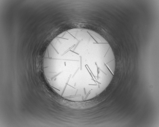 X0000078880030200612111751