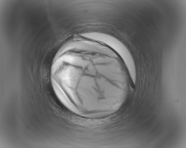 X0000078880031200612111751