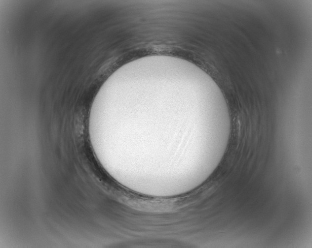 X0000078880032200612111751