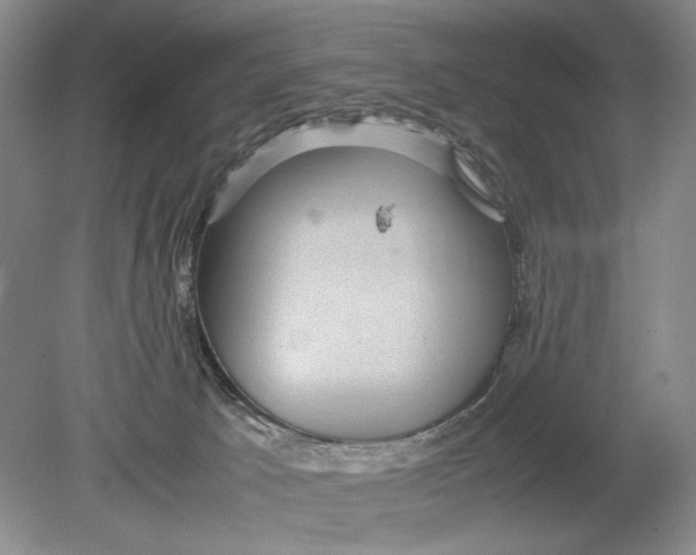 X0000078880033200612111751