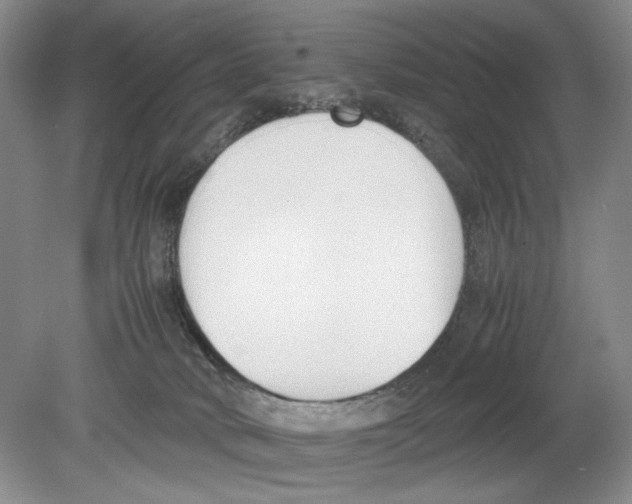 X0000078880034200612111751