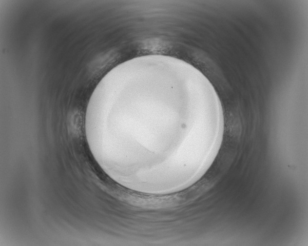 X0000078880036200612111751