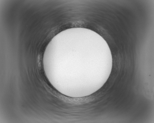 X0000078880038200612111751