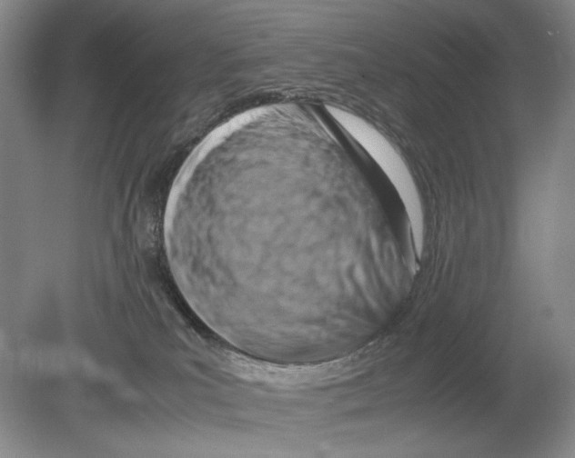 X0000078880039200612111751