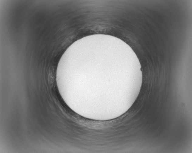 X0000078880040200612111751