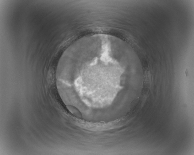 X0000078880043200612111751