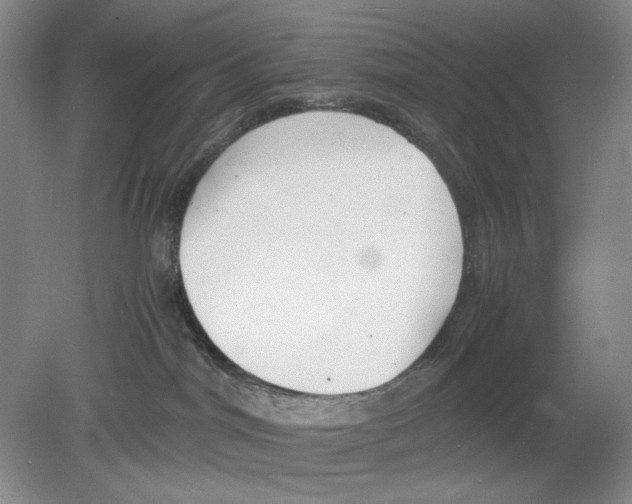 X0000078880044200612111751