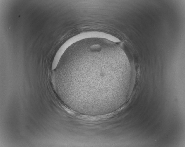 X0000078880045200612111751