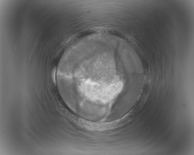 X0000078880047200612111750