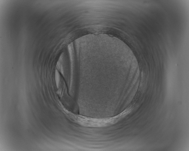 X0000078880048200612111750