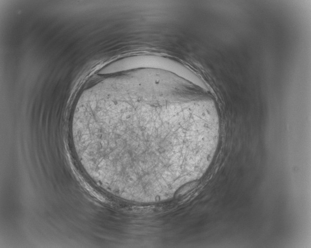 X0000078880049200612111750