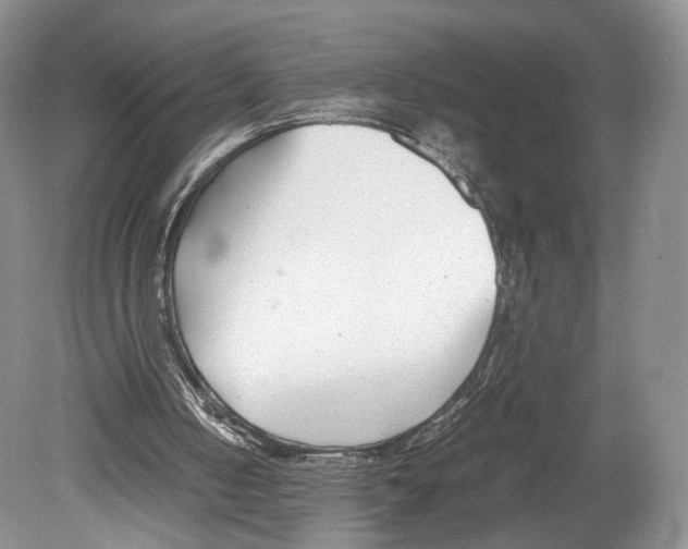 X0000078880050200612111750