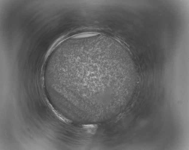 X0000078880053200612111750