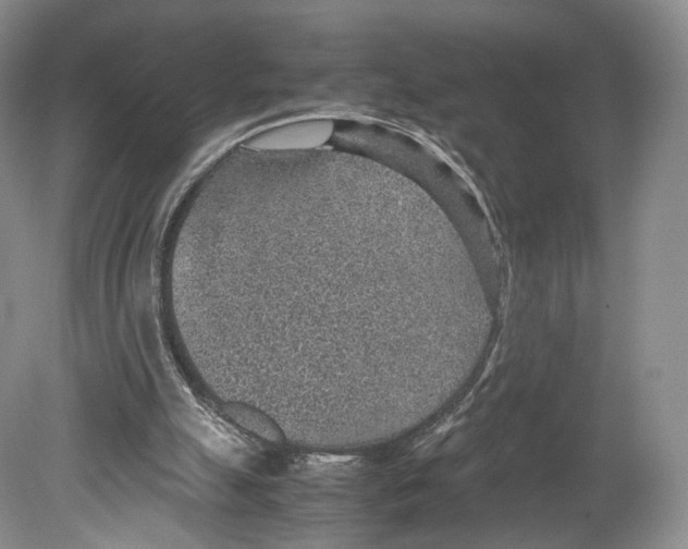 X0000078880055200612111750