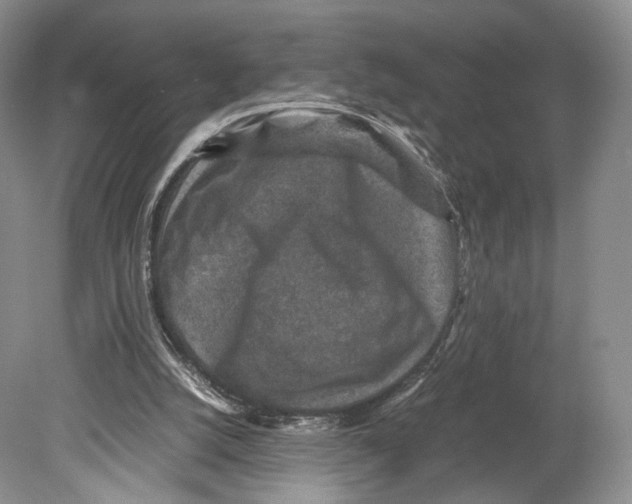 X0000078880056200612111750