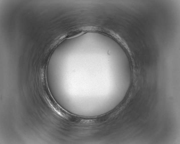 X0000078880057200612111750