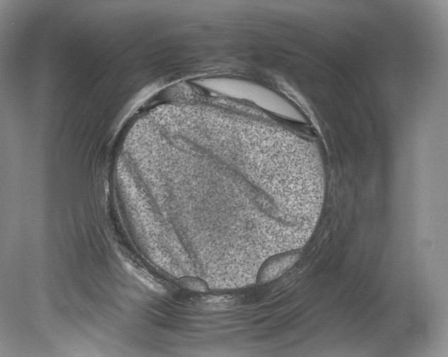 X0000078880059200612111750