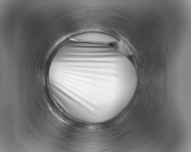 X0000078880060200612111750