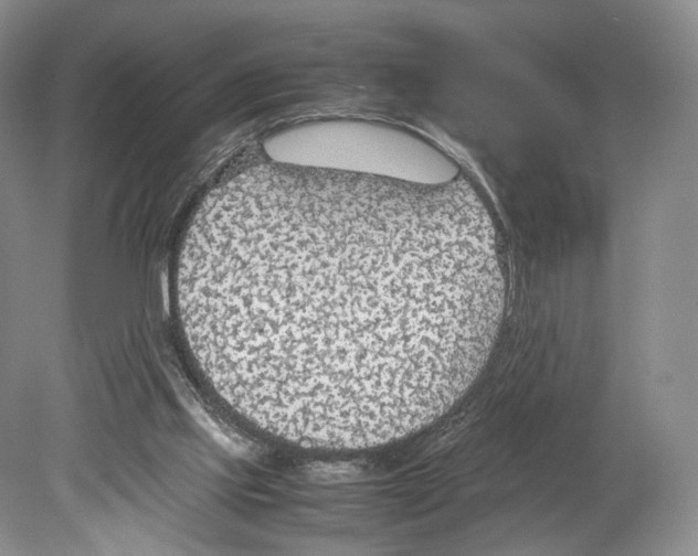 X0000078880061200612111750