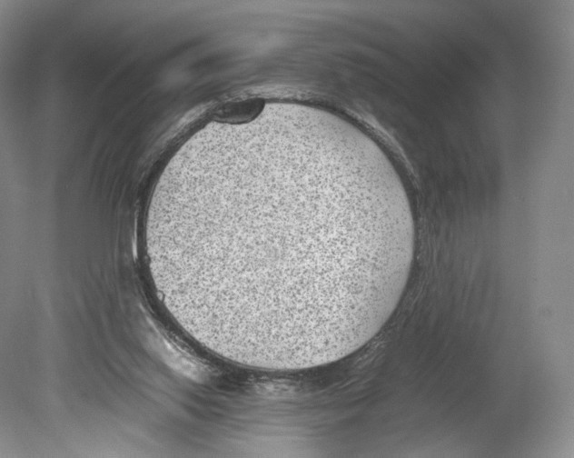 X0000078880062200612111750