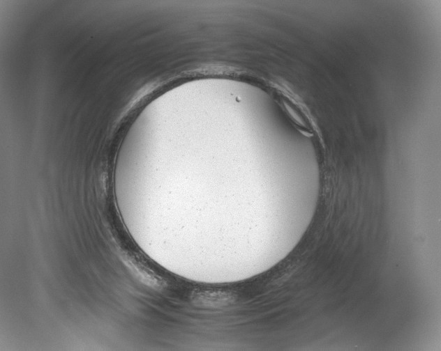 X0000078880063200612111750