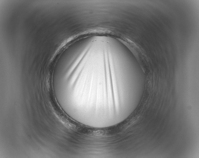 X0000078880064200612111750